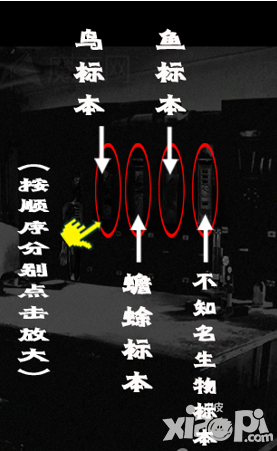 被遺棄的中學(xué)攻略 第八關(guān)科學(xué)室怎么過(guò)