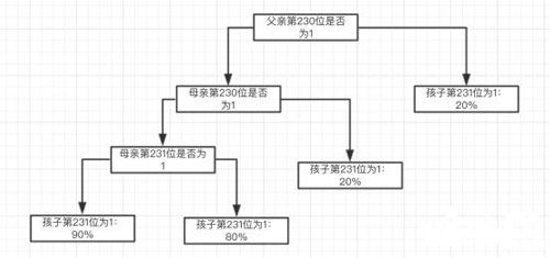 以太貓小貓